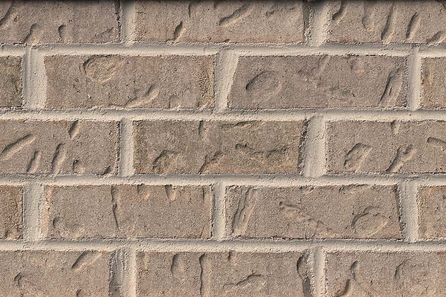 Cottonwood, Size-Modular, Mortar-Gray